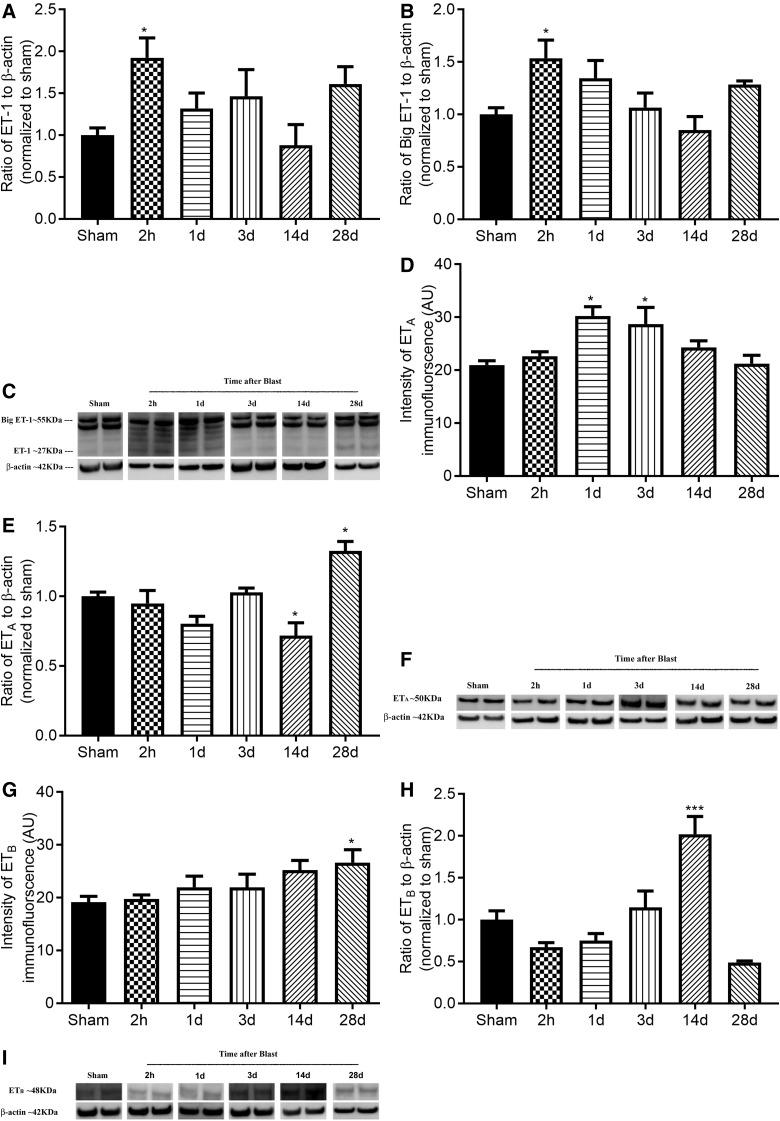 https://cdn.ncbi.nlm.nih.gov/pmc/blobs/53aa/6818492/bf1e7f15b649/fig-11.jpg