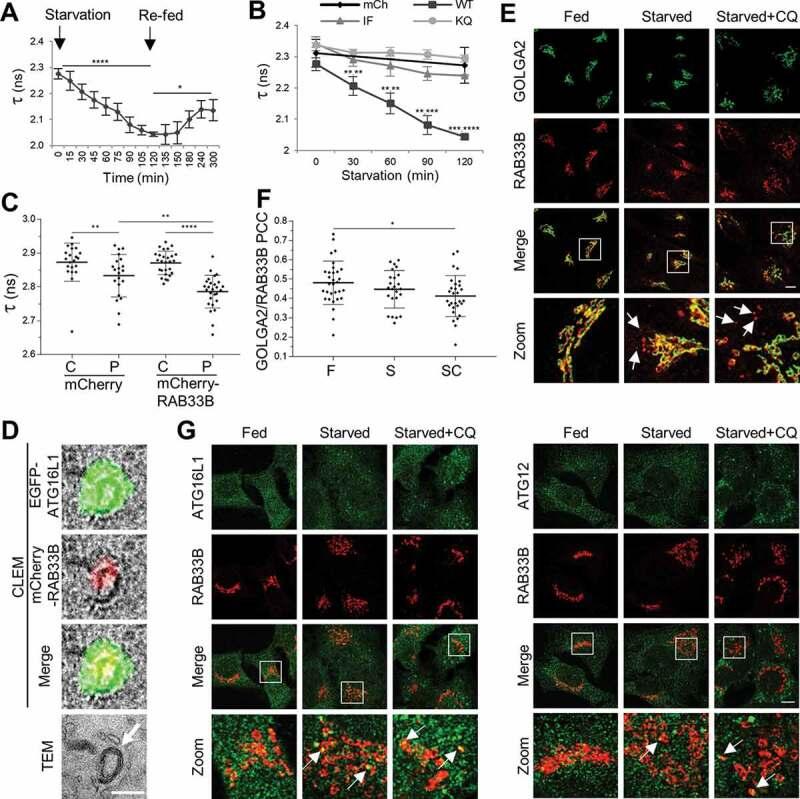 https://cdn.ncbi.nlm.nih.gov/pmc/blobs/53aa/8496732/0bb6c0023b91/KAUP_A_1822629_F0004_OC.jpg