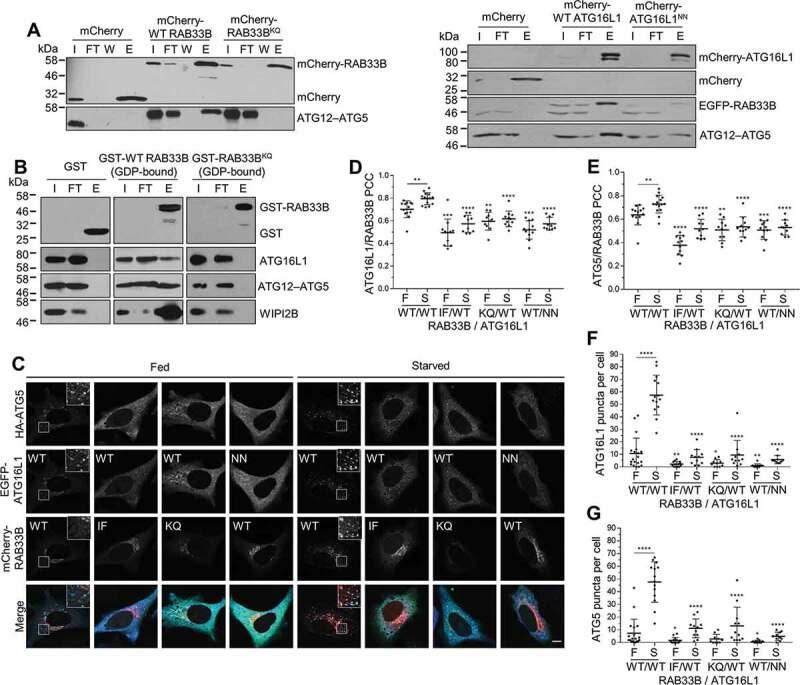 https://cdn.ncbi.nlm.nih.gov/pmc/blobs/53aa/8496732/f9a3097edab8/KAUP_A_1822629_F0003_OC.jpg