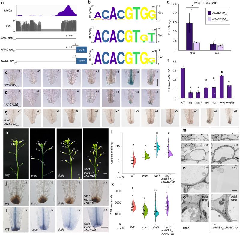 https://cdn.ncbi.nlm.nih.gov/pmc/blobs/53ad/10847506/f9e523b1504c/41467_2024_45371_Fig5_HTML.jpg