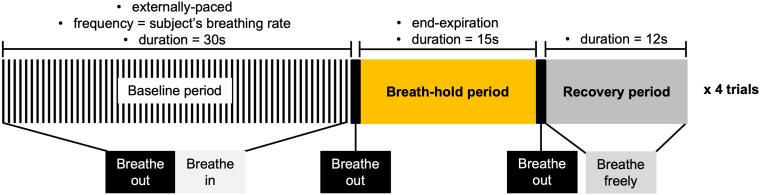 https://cdn.ncbi.nlm.nih.gov/pmc/blobs/53ad/12330853/6adac654a5c7/IMAG.a.80_Fig1.jpg