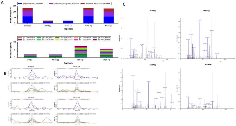 https://cdn.ncbi.nlm.nih.gov/pmc/blobs/53ae/12320848/17da6505e893/KONI_A_2538684_F0008_OC.jpg