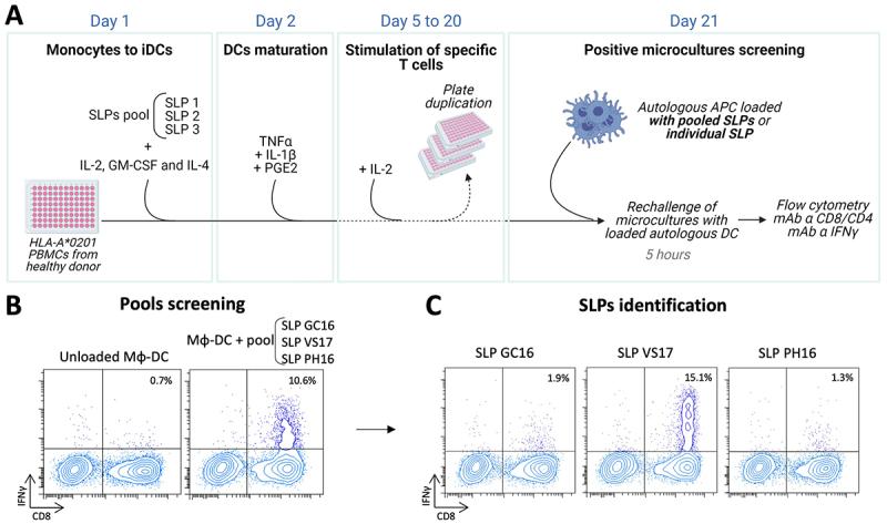 https://cdn.ncbi.nlm.nih.gov/pmc/blobs/53ae/12320848/4ab6b066cb16/KONI_A_2538684_F0002_OC.jpg