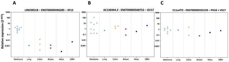 https://cdn.ncbi.nlm.nih.gov/pmc/blobs/53ae/12320848/d24985ada639/KONI_A_2538684_F0004_OC.jpg