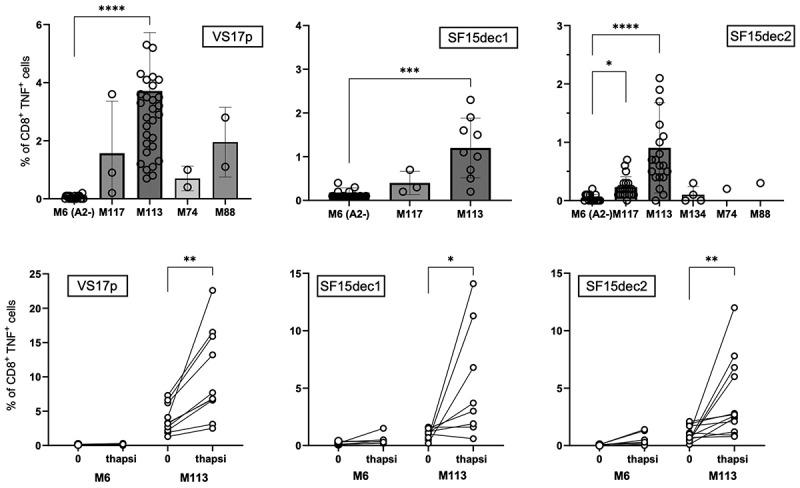 https://cdn.ncbi.nlm.nih.gov/pmc/blobs/53ae/12320848/e8fe83d425c4/KONI_A_2538684_F0007_B.jpg