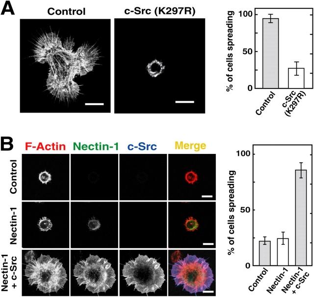 https://cdn.ncbi.nlm.nih.gov/pmc/blobs/53b1/2172271/3d5344d08ddc/200401093f5.jpg