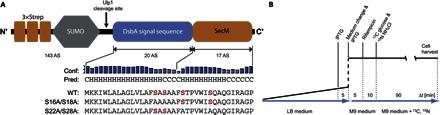 https://cdn.ncbi.nlm.nih.gov/pmc/blobs/53ba/4991931/d062debfe4cf/1600379-F1.jpg