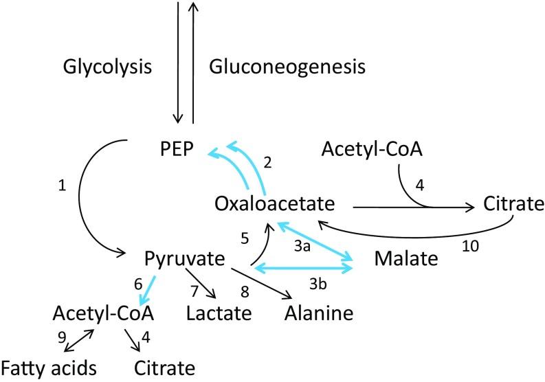 https://cdn.ncbi.nlm.nih.gov/pmc/blobs/53ba/5798368/d86bed098391/pnas.1717502115fig04.jpg