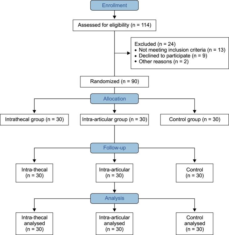 https://cdn.ncbi.nlm.nih.gov/pmc/blobs/53bb/5392657/cbf4e080d69b/kjpain-30-134-g001.jpg