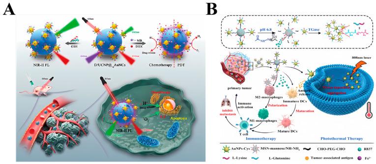 https://cdn.ncbi.nlm.nih.gov/pmc/blobs/53bc/11172079/d3cfb7418391/ijms-25-05632-g003.jpg