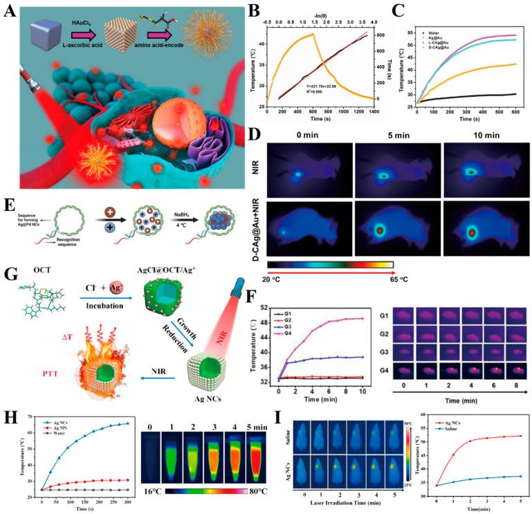 https://cdn.ncbi.nlm.nih.gov/pmc/blobs/53bc/11172079/e33d42d83b69/ijms-25-05632-g005.jpg