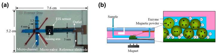 https://cdn.ncbi.nlm.nih.gov/pmc/blobs/53bc/11763626/106e620f1096/biosensors-15-00013-g003.jpg