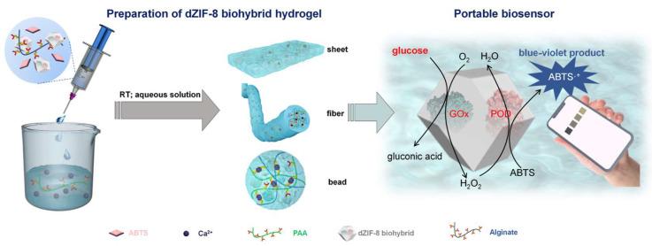 https://cdn.ncbi.nlm.nih.gov/pmc/blobs/53bc/11763626/53c4bf732a32/biosensors-15-00013-g004.jpg