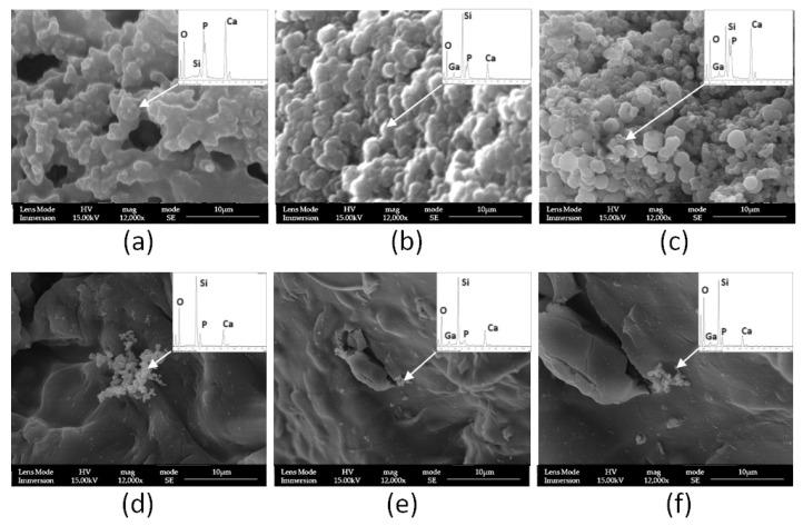https://cdn.ncbi.nlm.nih.gov/pmc/blobs/53bd/10820009/b4c2baea738d/materials-17-00373-g010.jpg
