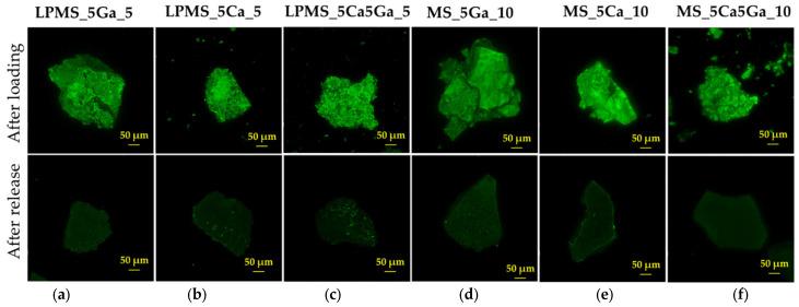 https://cdn.ncbi.nlm.nih.gov/pmc/blobs/53bd/10820009/fe037865b9dd/materials-17-00373-g005.jpg