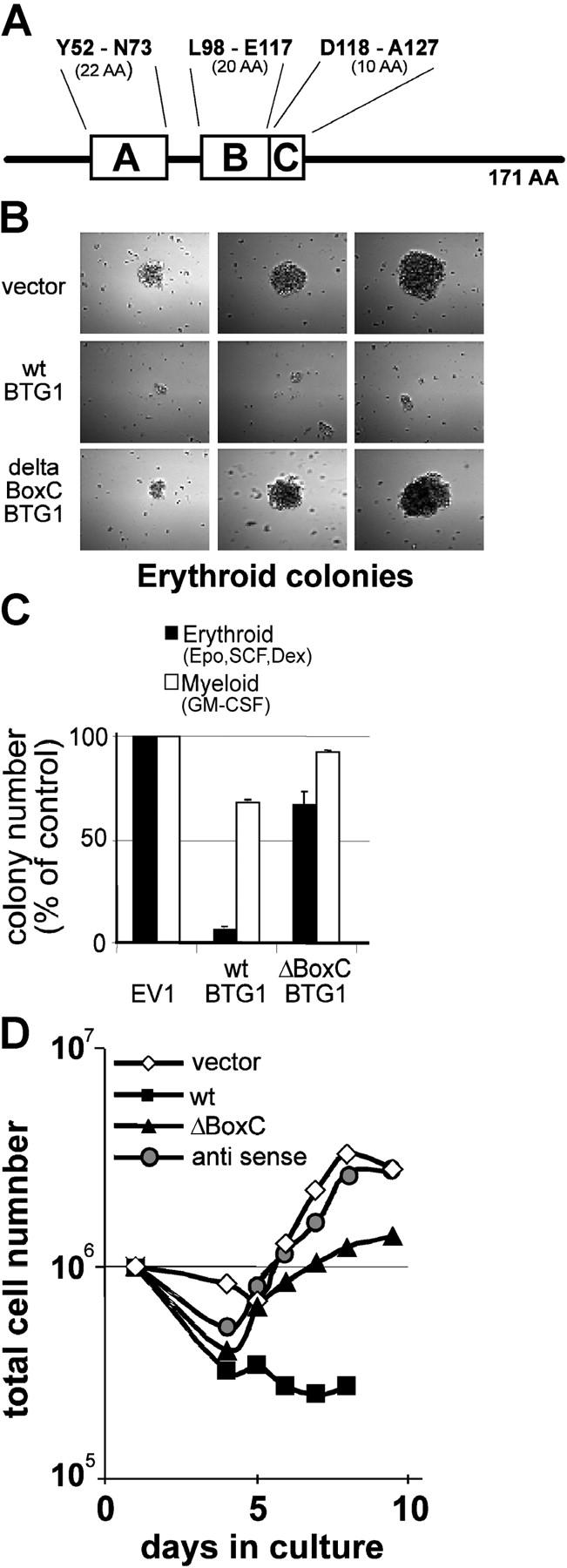 https://cdn.ncbi.nlm.nih.gov/pmc/blobs/53bd/2172323/2b5d607377e6/200307056f6.jpg
