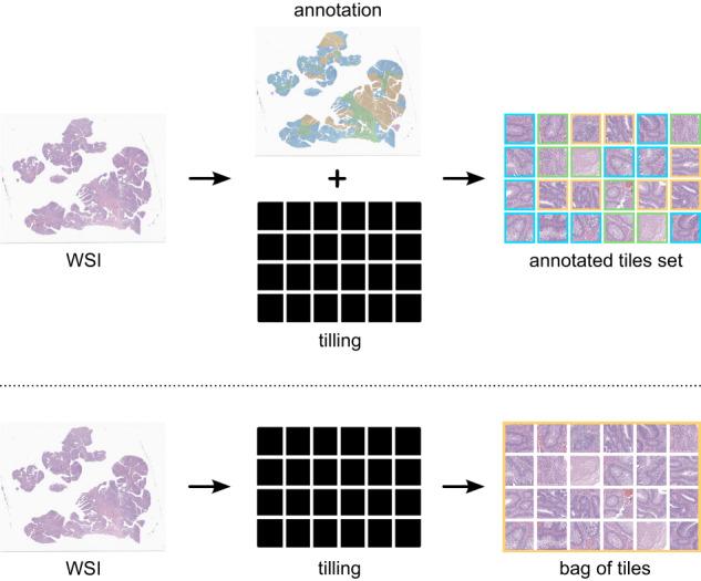 https://cdn.ncbi.nlm.nih.gov/pmc/blobs/53be/10914836/c257352dff94/41698_2024_539_Fig6_HTML.jpg