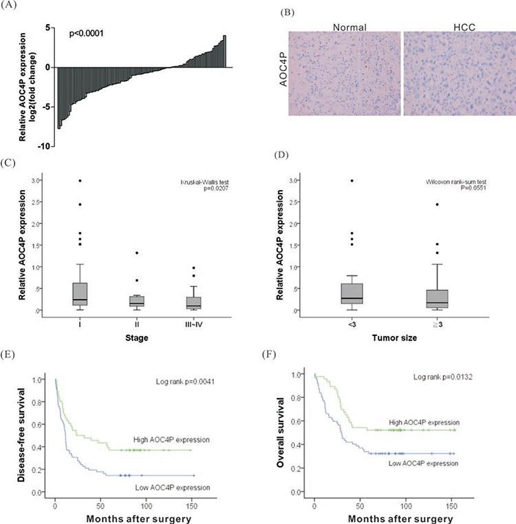 https://cdn.ncbi.nlm.nih.gov/pmc/blobs/53be/4695122/200742a6e90f/oncotarget-06-23342-g001.jpg