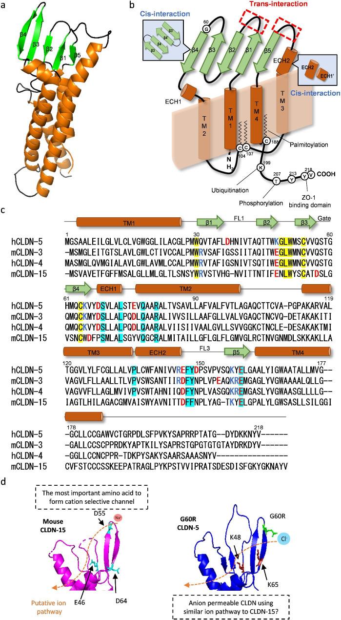 https://cdn.ncbi.nlm.nih.gov/pmc/blobs/53bf/10044825/05ba7da2153a/12987_2023_424_Fig3_HTML.jpg