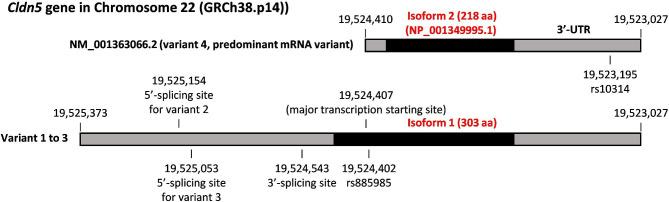 https://cdn.ncbi.nlm.nih.gov/pmc/blobs/53bf/10044825/995bd4b86fc6/12987_2023_424_Fig1_HTML.jpg