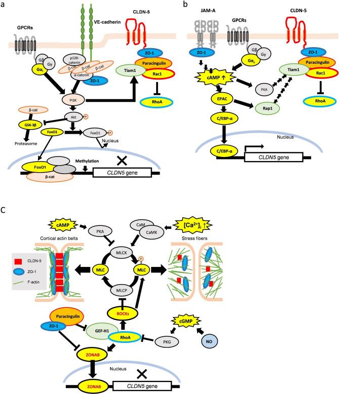 https://cdn.ncbi.nlm.nih.gov/pmc/blobs/53bf/10044825/c408d16d3146/12987_2023_424_Fig2_HTML.jpg