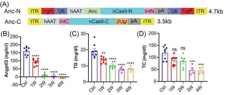 https://cdn.ncbi.nlm.nih.gov/pmc/blobs/53bf/10273718/17b7abf29608/13578_2023_1036_Fig2_HTML.jpg