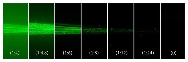 https://cdn.ncbi.nlm.nih.gov/pmc/blobs/53bf/6620854/7f64a7539582/BMRI2019-6425040.003.jpg