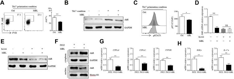 https://cdn.ncbi.nlm.nih.gov/pmc/blobs/53c1/9342710/46d1d4f83766/JIR-15-4315-g0003.jpg