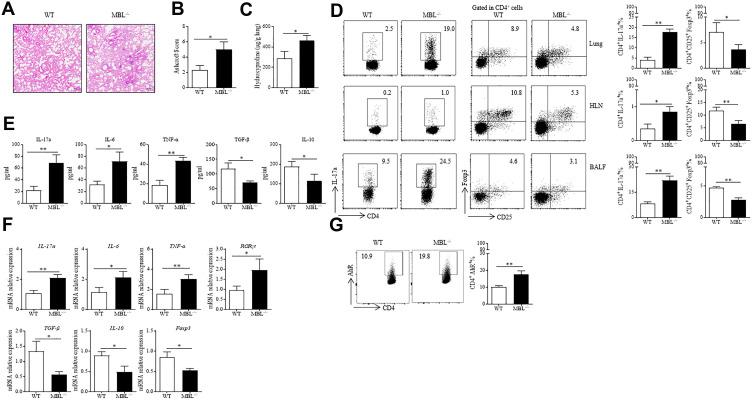 https://cdn.ncbi.nlm.nih.gov/pmc/blobs/53c1/9342710/ee95f8efe81a/JIR-15-4315-g0006.jpg