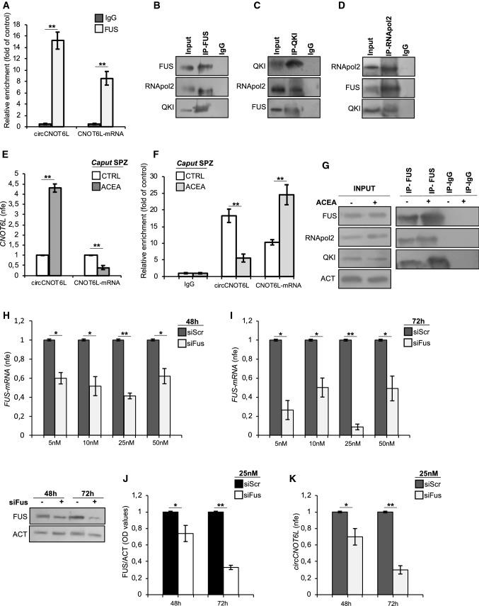 https://cdn.ncbi.nlm.nih.gov/pmc/blobs/53c2/11071812/b8fef27deb54/18_2021_4054_Fig4_HTML.jpg