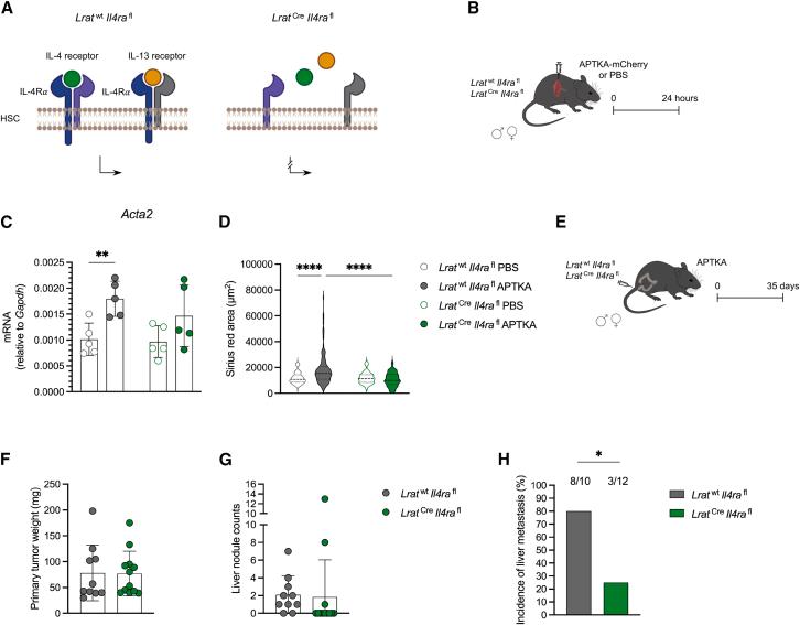 https://cdn.ncbi.nlm.nih.gov/pmc/blobs/53c2/12032931/25817c86f2b1/gr5.jpg