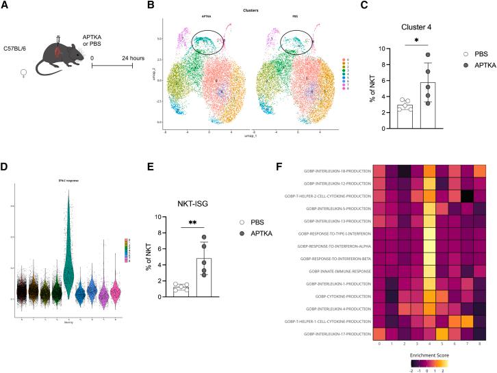https://cdn.ncbi.nlm.nih.gov/pmc/blobs/53c2/12032931/692ad7384a7b/gr3.jpg