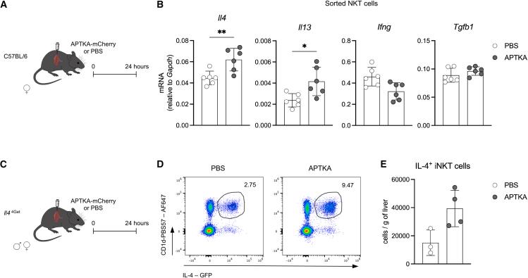 https://cdn.ncbi.nlm.nih.gov/pmc/blobs/53c2/12032931/bc886f6bddae/gr4.jpg