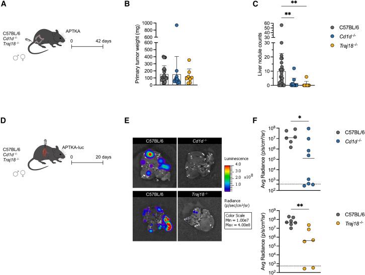 https://cdn.ncbi.nlm.nih.gov/pmc/blobs/53c2/12032931/ebf0d86a9bee/gr1.jpg