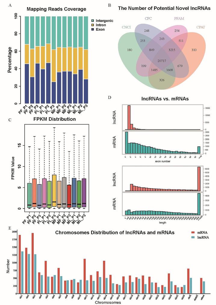 https://cdn.ncbi.nlm.nih.gov/pmc/blobs/53c3/11034058/5b600c498c01/12864_2024_10191_Fig1_HTML.jpg
