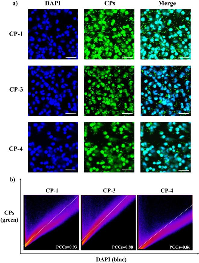 https://cdn.ncbi.nlm.nih.gov/pmc/blobs/53c3/9948165/1d847c98172f/ao2c07742_0008.jpg