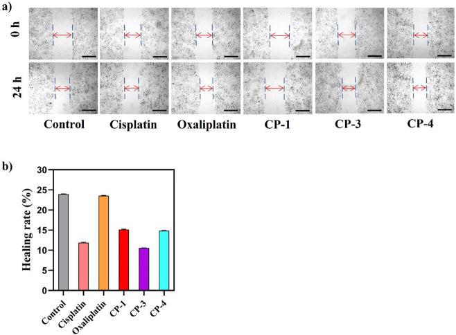 https://cdn.ncbi.nlm.nih.gov/pmc/blobs/53c3/9948165/a03f991a9296/ao2c07742_0010.jpg