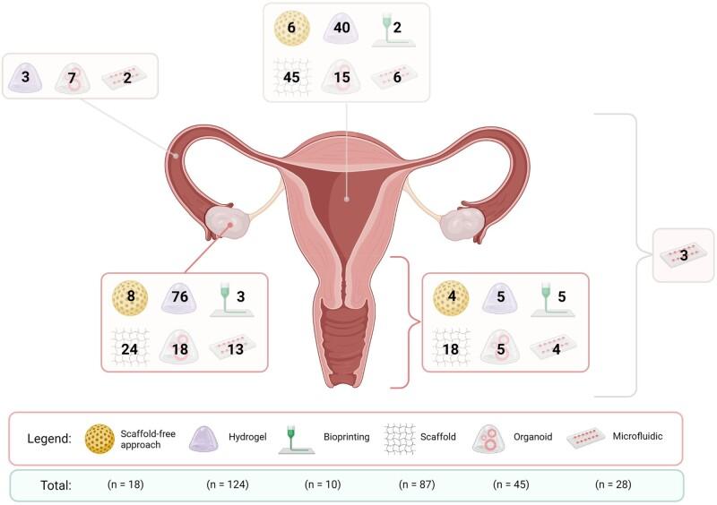 https://cdn.ncbi.nlm.nih.gov/pmc/blobs/53c7/9629485/369c2666c044/dmac025f3.jpg