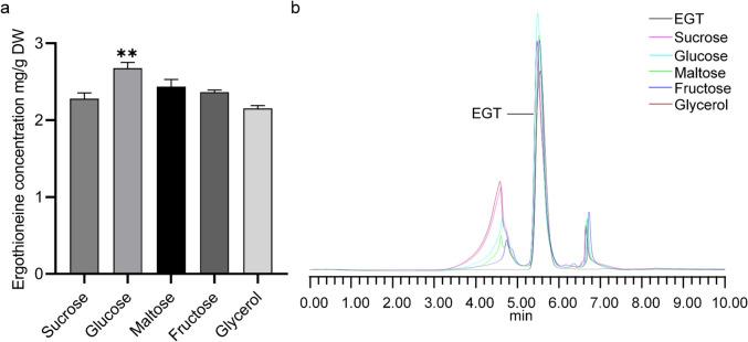 https://cdn.ncbi.nlm.nih.gov/pmc/blobs/53c8/12152031/0978acf0be9f/253_2025_13505_Fig5_HTML.jpg