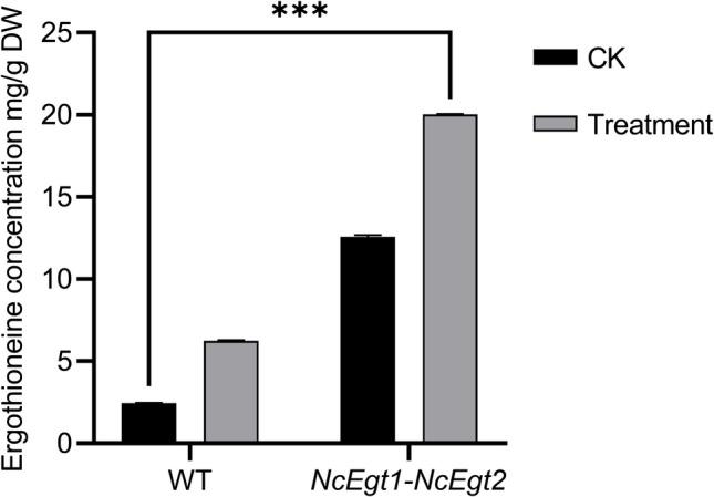 https://cdn.ncbi.nlm.nih.gov/pmc/blobs/53c8/12152031/af4c9b187195/253_2025_13505_Fig7_HTML.jpg
