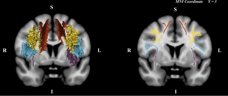 https://cdn.ncbi.nlm.nih.gov/pmc/blobs/53c8/9262917/50a197d9bbb1/41537_2022_253_Fig4_HTML.jpg