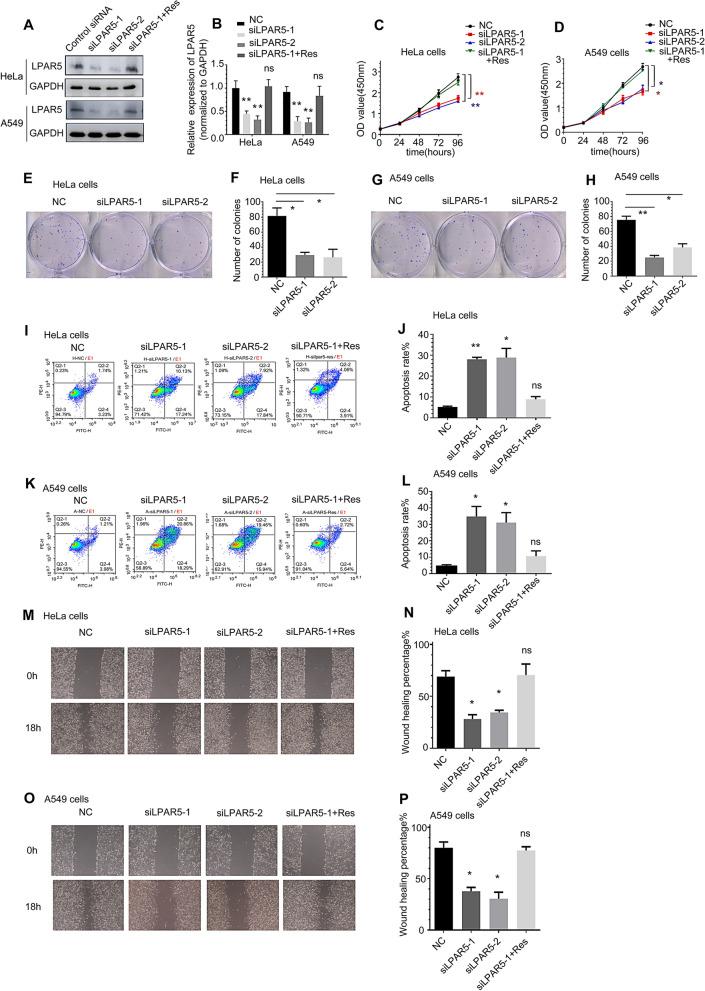 https://cdn.ncbi.nlm.nih.gov/pmc/blobs/53c8/9533496/5ba77f362276/12967_2022_3673_Fig3_HTML.jpg