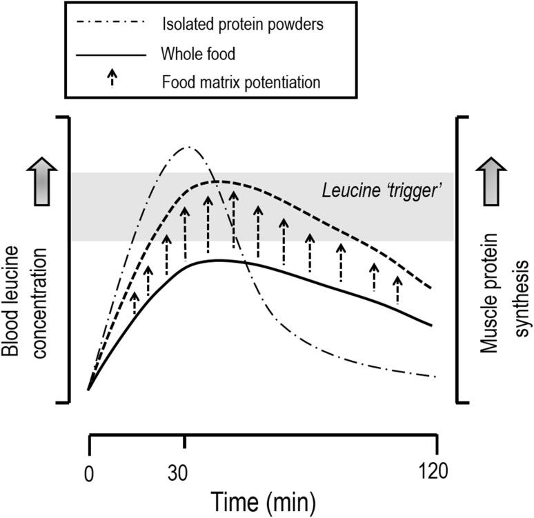 https://cdn.ncbi.nlm.nih.gov/pmc/blobs/53c9/6445816/699ab3ee2d50/40279_2018_1009_Fig1_HTML.jpg
