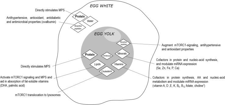 https://cdn.ncbi.nlm.nih.gov/pmc/blobs/53c9/6445816/7d5619305628/40279_2018_1009_Fig2_HTML.jpg