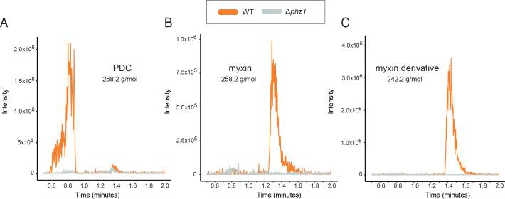 https://cdn.ncbi.nlm.nih.gov/pmc/blobs/53ca/7591250/3023498ae5e1/elife-59726-fig5-figsupp2.jpg