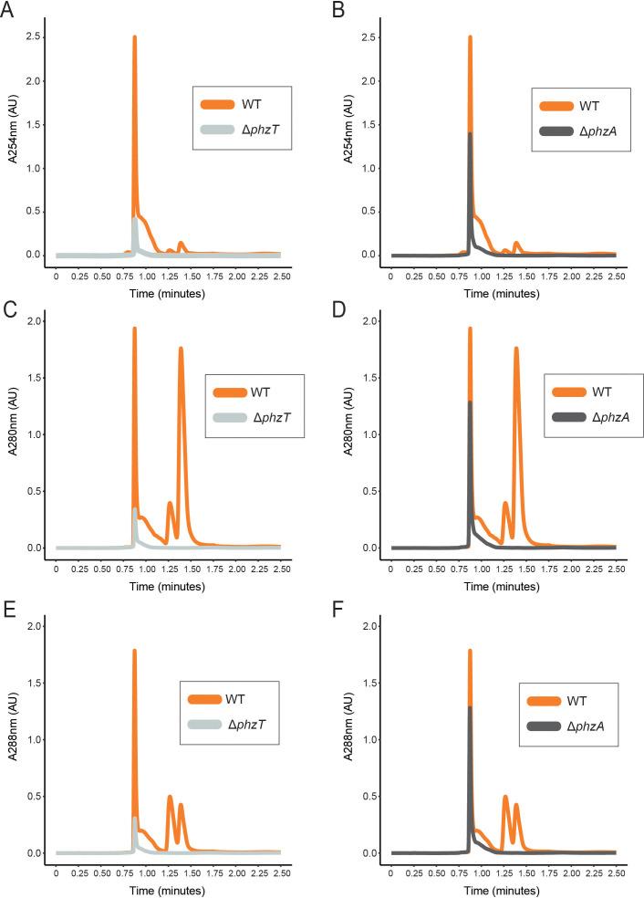 https://cdn.ncbi.nlm.nih.gov/pmc/blobs/53ca/7591250/b40c74816d8e/elife-59726-fig5-figsupp1.jpg