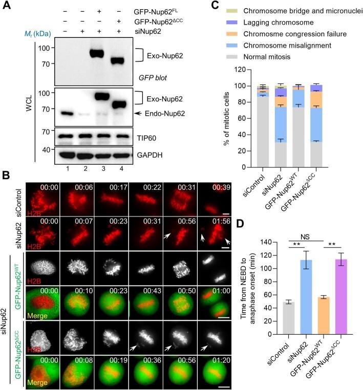 https://cdn.ncbi.nlm.nih.gov/pmc/blobs/53cb/9926331/54deb33af500/mjac056fig4.jpg