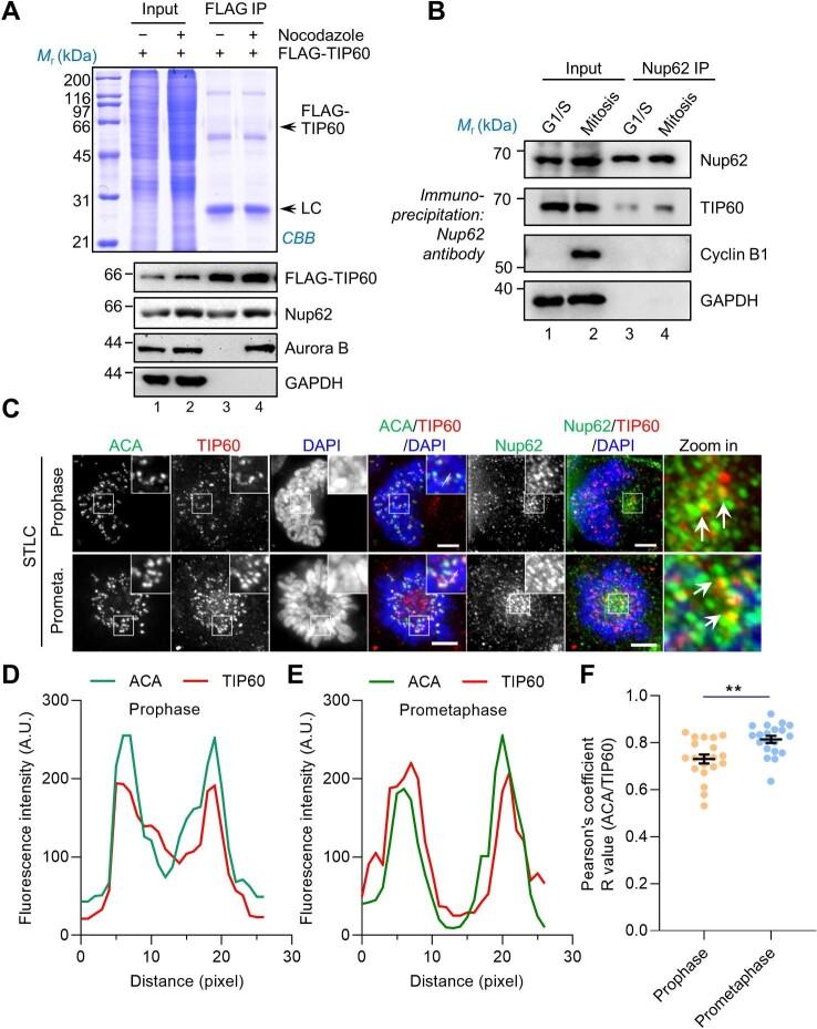https://cdn.ncbi.nlm.nih.gov/pmc/blobs/53cb/9926331/70d744d5e0f0/mjac056fig1.jpg
