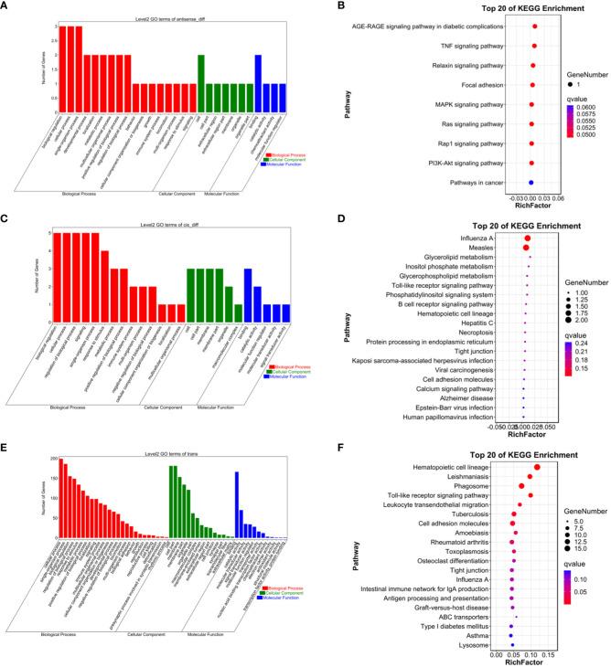 https://cdn.ncbi.nlm.nih.gov/pmc/blobs/53cf/10863452/4b1b8073372b/fendo-15-1346260-g010.jpg