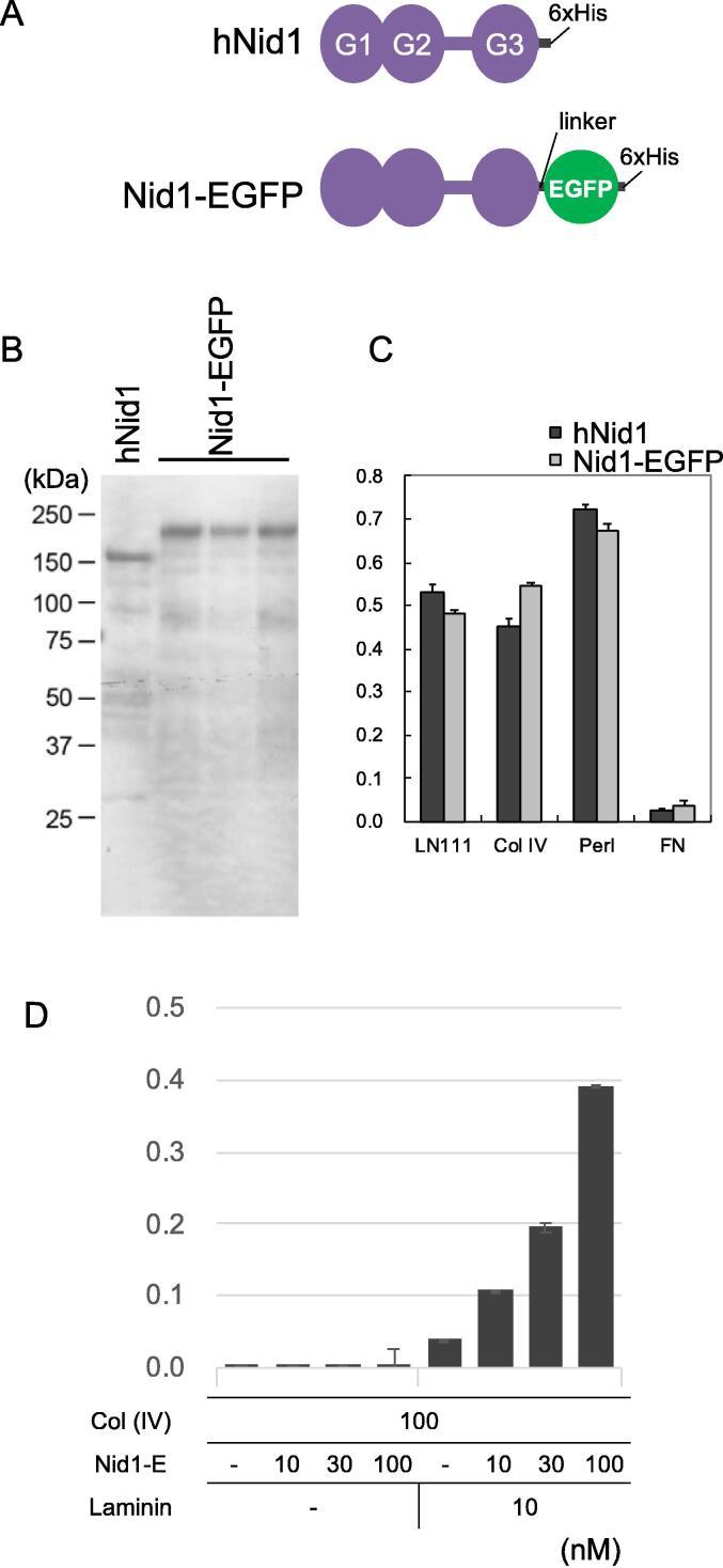 https://cdn.ncbi.nlm.nih.gov/pmc/blobs/53d0/10149278/b7c6dbd1c1b6/gr1.jpg